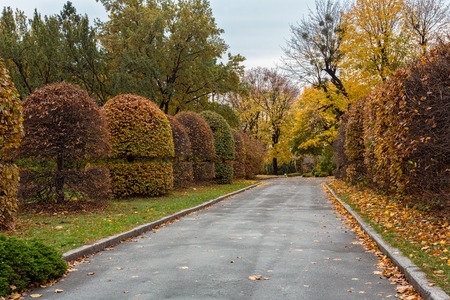 Autumn in the botanical gardenの写真素材
