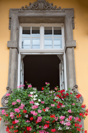 Old window with flowersの写真素材