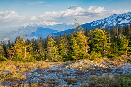 Carpathian mountains Ukraineの写真素材