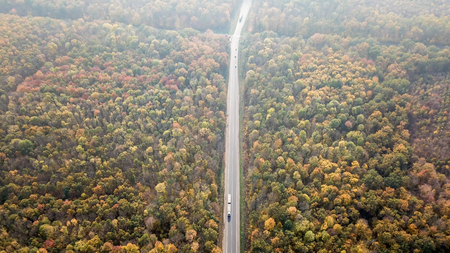 High angle view of a road trough the forest at the sunset with copy spaceの写真素材