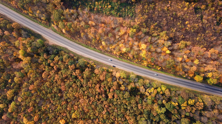 High angle view of a road trough the forest at the sunset with copy spaceの写真素材