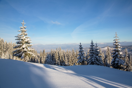 Bukovel in the winter. Snow-capped mountain peaks. Ukrainian Carpathians.の写真素材