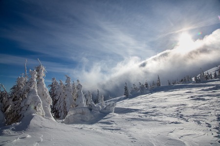 Bukovel in the winter. Snow-capped mountain peaks. Ukrainian Carpathians.の写真素材
