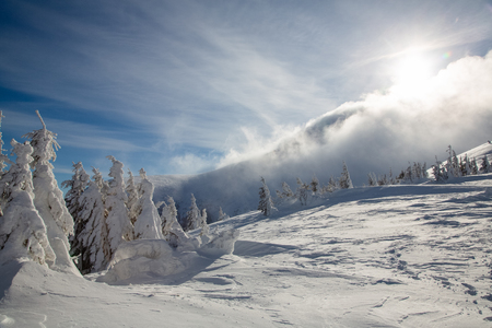 Bukovel in the winter. Snow-capped mountain peaks. Ukrainian Carpathians.の写真素材