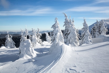 Bukovel in the winter. Snow-capped mountain peaks. Ukrainian Carpathians.の写真素材