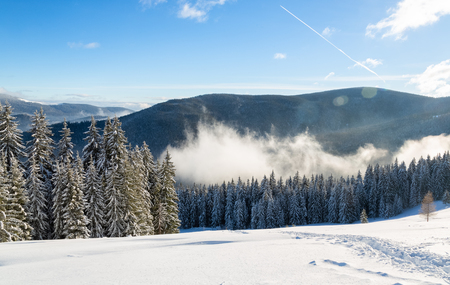 Bukovel in the winter. Snow-capped mountain peaks. Ukrainian Carpathians.の写真素材