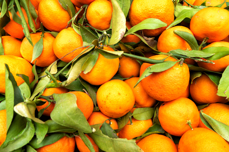 Africa morocco oranges grow among pollen treesの写真素材