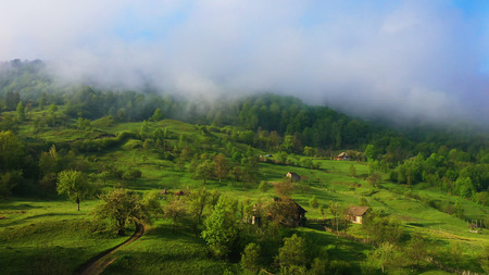 Tea Plantations at Cameron Highlands Malaysia. Sunrise in early morning with fog.