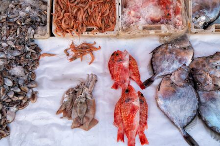 Fresh raw seafoods on counter in restaurant. Food theme. Mediterranean specialties.の写真素材
