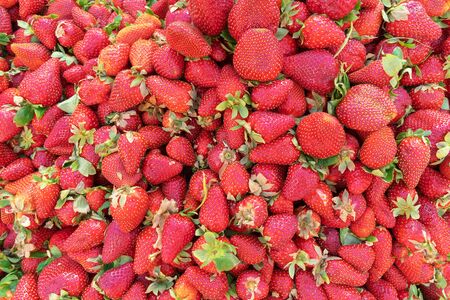 Fresh ripe perfect strawberry - Food Frame Backgroundの写真素材
