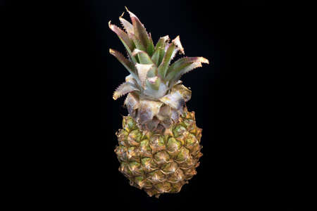 Pineapple fruit tastes good on a black background.