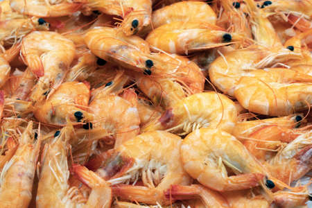 Shrimps background texture. A lot of sea shrimp. Sea food like shrimp or krill on the street food festival.の写真素材