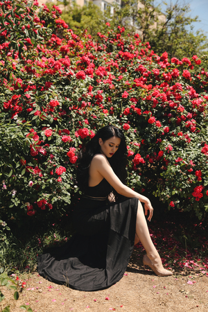 Fashion outdoor photo of beautiful sexy woman with dark hair in elegant black dress posing in blossom garden with roses bushesの写真素材