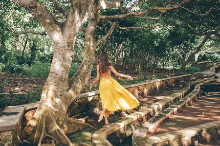 Asia travel series. Beautiful woman with dark hair in elegant yellow dress posing near old beautiful tree with rootsの写真素材