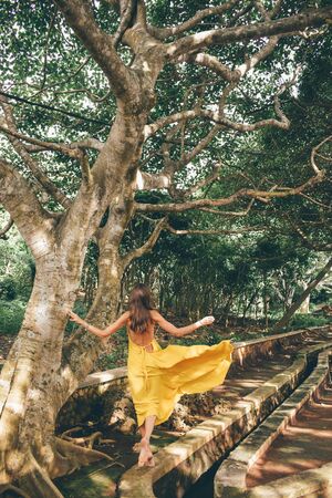 Asia travel series. Beautiful woman with dark hair in elegant yellow dress posing near old beautiful tree with rootsの写真素材
