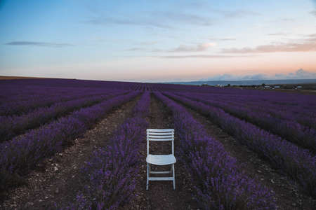 beautiful outdoor photo of blooming lavender field and chair in itの写真素材