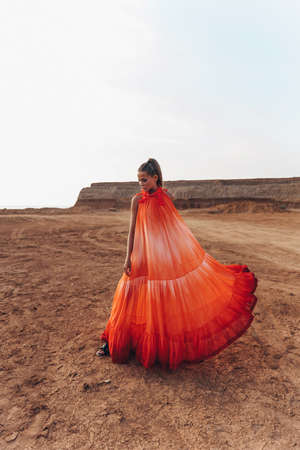 fashion photo of beautiful sexy woman with blond hair in elegant dress and accessories posing in desertの写真素材