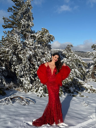 fashion Christmas photo of beautiful woman with dark hair in luxurious evening dress with accessories posing in the snowy mountainsの写真素材