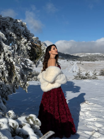 fashion Christmas photo of beautiful woman with dark hair in luxurious evening dress and white fur coat with accessories posing in the snowy mountainsの写真素材