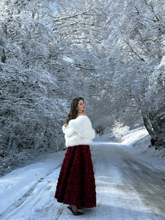 fashion Christmas photo of beautiful woman with dark hair in luxurious evening dress with accessories posing in the snowy mountainsの写真素材