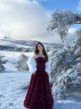 fashion Christmas photo of beautiful woman with dark hair in luxurious evening dress and white fur coat with accessories posing in the snowy mountainsの写真素材
