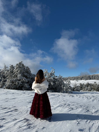fashion Christmas photo of beautiful woman with dark hair in luxurious evening dress with accessories posing in the snowy mountainsの写真素材