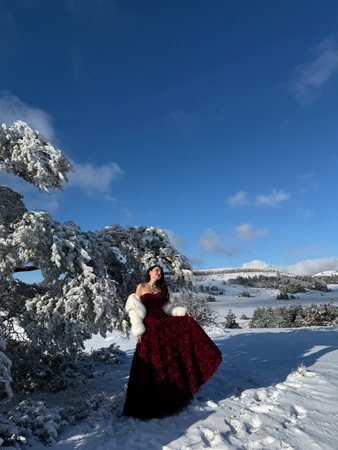 fashion Christmas photo of beautiful woman with dark hair in luxurious evening dress with accessories posing in the snowy mountainsの写真素材