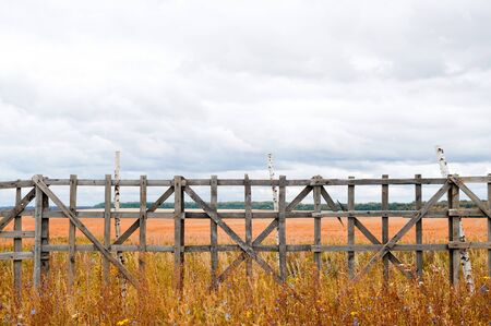 look at the field through an old wooden fence in autumn timeの写真素材