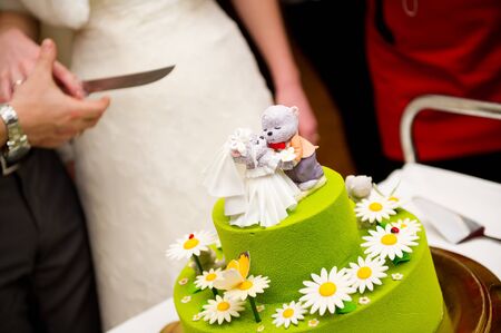 the groom and the bride carry a knife to cut the wedding cake along the line between the figures on the top.の写真素材