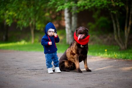 A brown labrador in a red scarf is sitting on the pavement, and next to it is a little girl in a blue jacketの写真素材