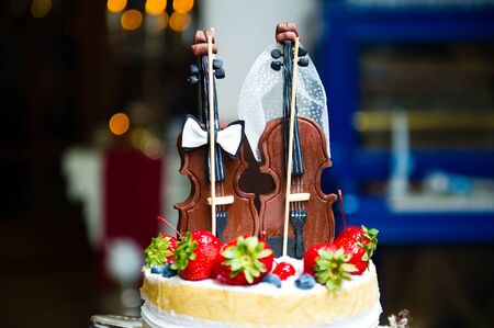edible figurines on a cake in the form of two violins. close-up