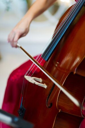 close-up of red cello strings touched by a bow.の写真素材