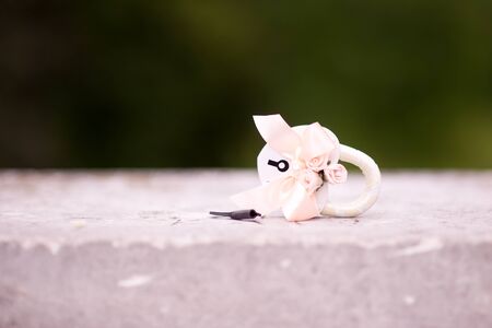 a white metal decorated wedding lock lies on a wooden parapet and next to it is the key. Blured greenery in the background. Close upの写真素材