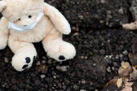 a teddy bear in a medical mask sits on dirty ground, close upの写真素材