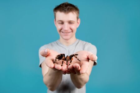 A young man holds a large spider in his arms and holds it to the camera, selective focus on spiderの写真素材