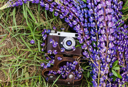 Vintage camera in purple flowers. Old camera in shades of picturesque nature.