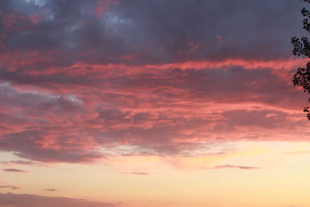 Clouds on a sunset.の写真素材