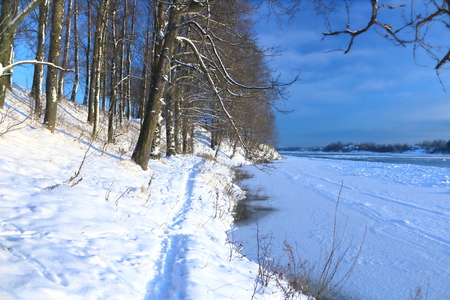 Beautiful winter day. Snow on the bank of the river. Trees under the snow. The low winter sun.の写真素材