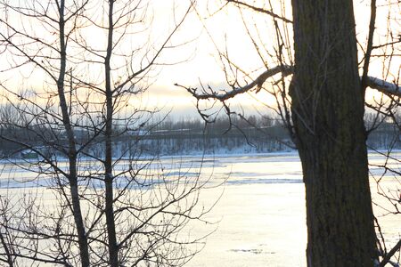 Beautiful winter day. Snow on the bank of the river. Trees under the snow. The low winter sun.の写真素材