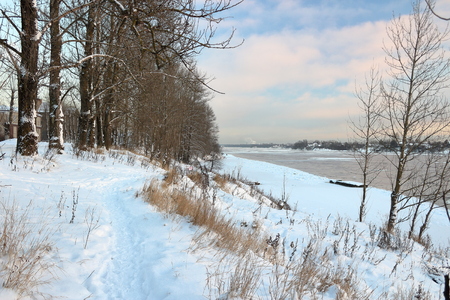 Beautiful winter day. Snow on the bank of the river. Trees under the snow. The low winter sun.の写真素材