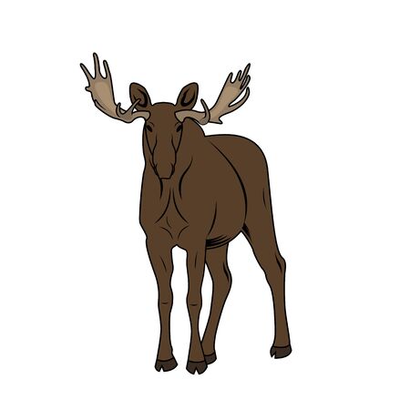 Vector Illustration of a Moose. American Elk vintage Symbolのイラスト素材