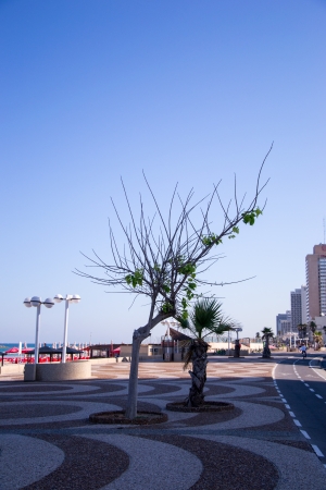 View of Tel Aviv beach in sunlight dayの写真素材