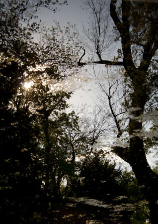 Reflection in the water. Spring look. top view.の写真素材