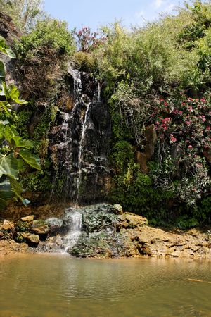 Waterfall falls over black basalt rocks among bushes and flowers