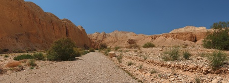 Desert valley in the evening