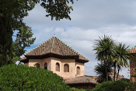 Roof of Alhambra palace seen from Alhambra gardens