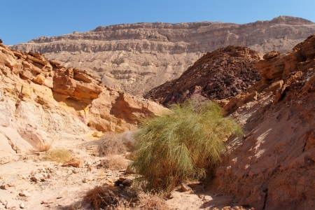 Scenic desert canyonの写真素材