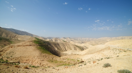 Desert landscape in spring