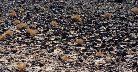 Black stone field in the desertの写真素材