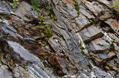 Dark diagonal granite rock layers with some vegetationの写真素材